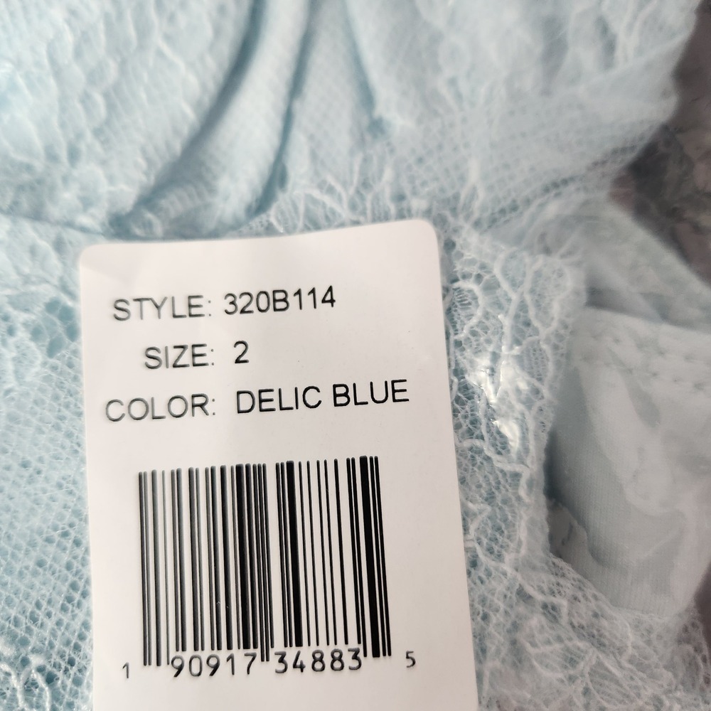 Danielle Bernstein Lace Bustier Thong Bodysuit 2 Delic Blue Mesh WeWoreWhat - Picture 3 of 5